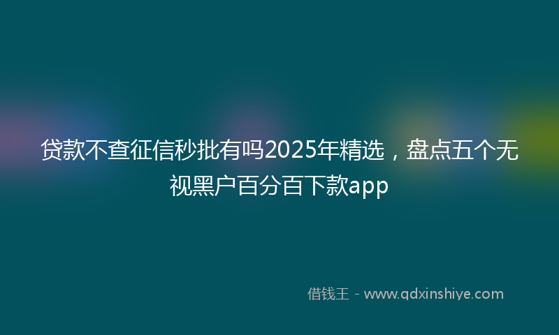 贷款不查征信秒批有吗2025年精选，盘点五个无视黑户百分百下款app