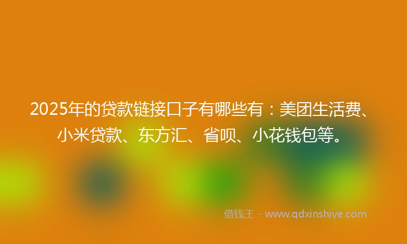 2025年的贷款链接口子有哪些有：美团生活费、小米贷款、东方汇、省呗、小花钱包等。