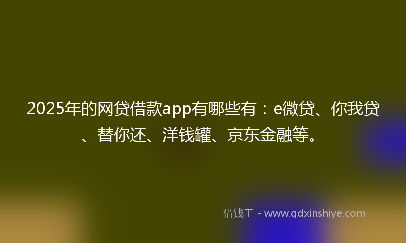 2025年的网贷借款app有哪些有：e微贷、你我贷、替你还、洋钱罐、京东金融等。