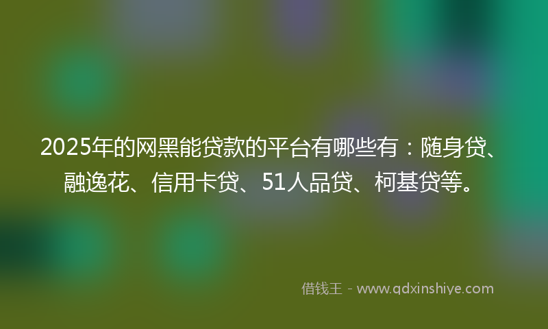 2025年的网黑能贷款的平台有哪些有：随身贷、融逸花、信用卡贷、51人品贷、柯基贷等。
