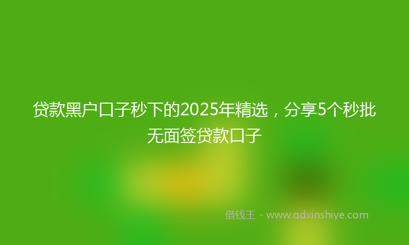 贷款黑户口子秒下的2025年精选，分享5个秒批无面签贷款口子