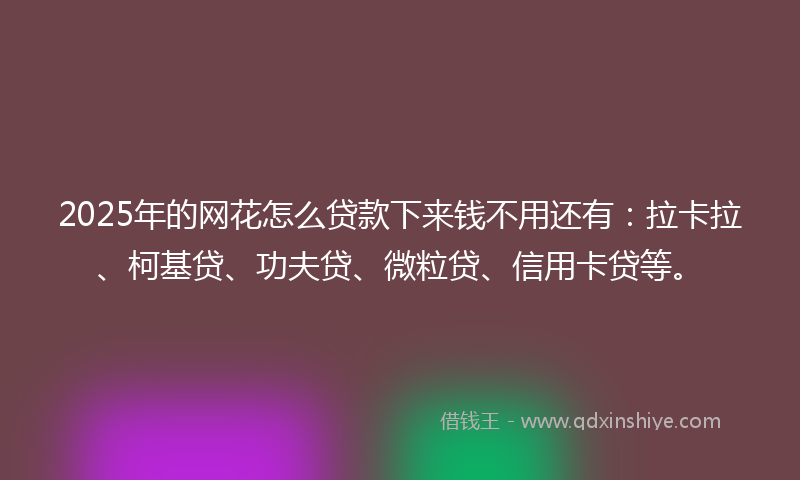 2025年的网花怎么贷款下来钱不用还有：拉卡拉、柯基贷、功夫贷、微粒贷、信用卡贷等。