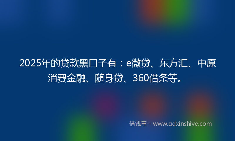 2025年的贷款黑口子有：e微贷、东方汇、中原消费金融、随身贷、360借条等。