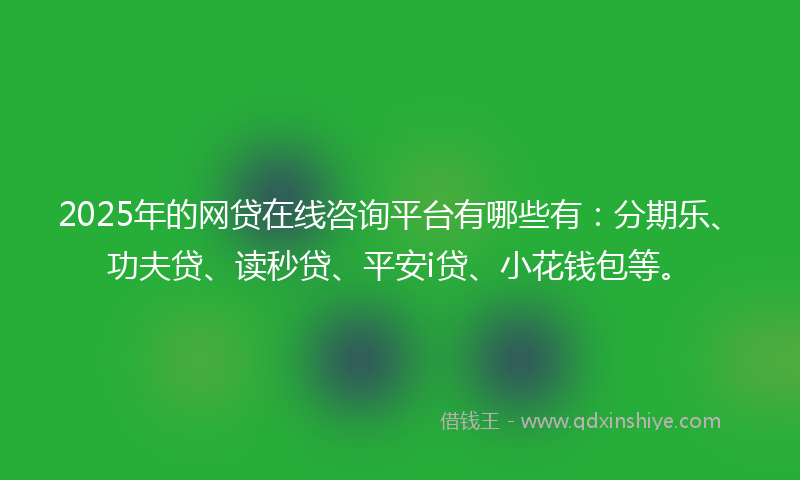 2025年的网贷在线咨询平台有哪些有：分期乐、功夫贷、读秒贷、平安i贷、小花钱包等。