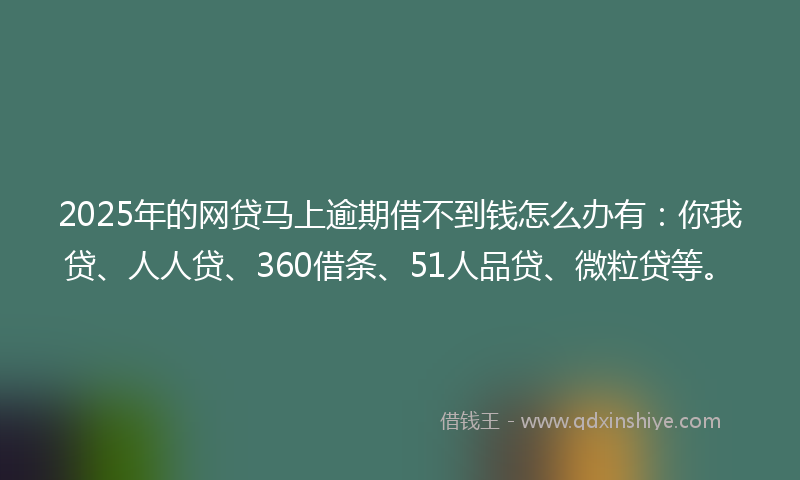 2025年的网贷马上逾期借不到钱怎么办有：你我贷、人人贷、360借条、51人品贷、微粒贷等。
