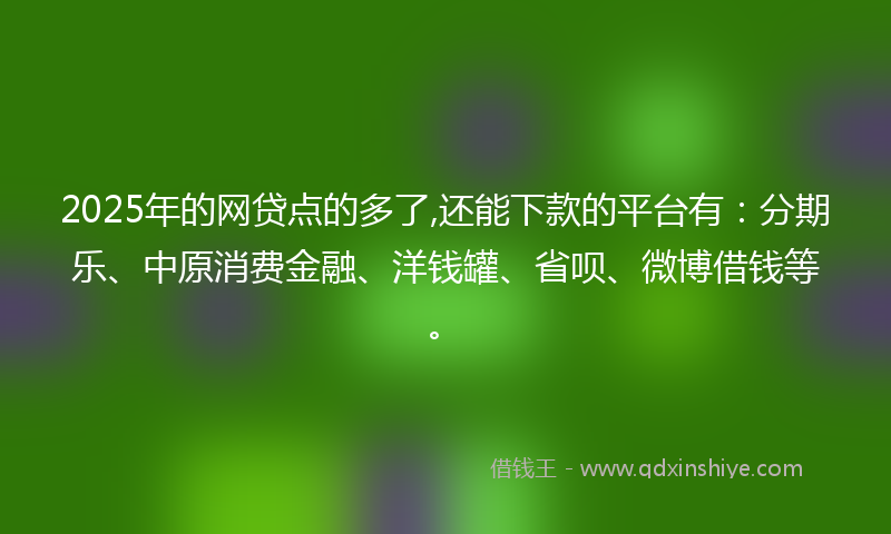2025年的网贷点的多了,还能下款的平台有：分期乐、中原消费金融、洋钱罐、省呗、微博借钱等。