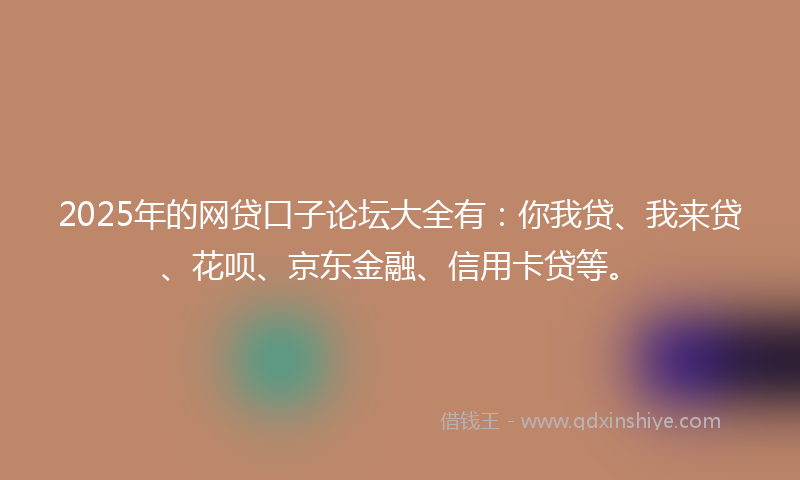 2025年的网贷口子论坛大全有：你我贷、我来贷、花呗、京东金融、信用卡贷等。