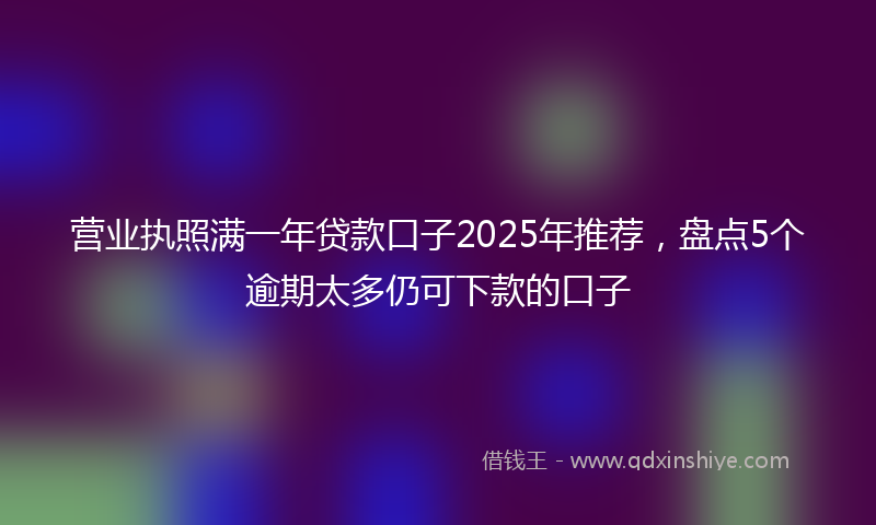 营业执照满一年贷款口子2025年推荐，盘点5个逾期太多仍可下款的口子