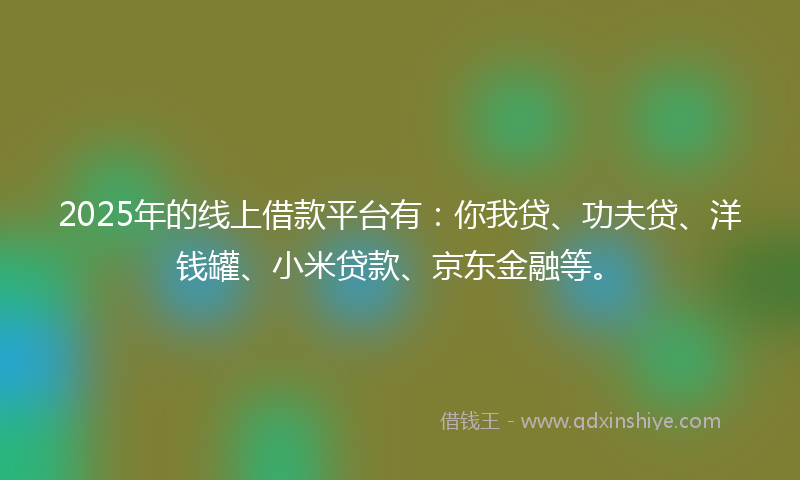 2025年的线上借款平台有：你我贷、功夫贷、洋钱罐、小米贷款、京东金融等。