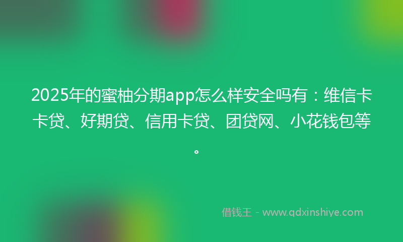 2025年的蜜柚分期app怎么样安全吗有：维信卡卡贷、好期贷、信用卡贷、团贷网、小花钱包等。