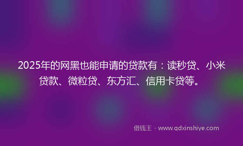 2025年的网黑也能申请的贷款有：读秒贷、小米贷款、微粒贷、东方汇、信用卡贷等。