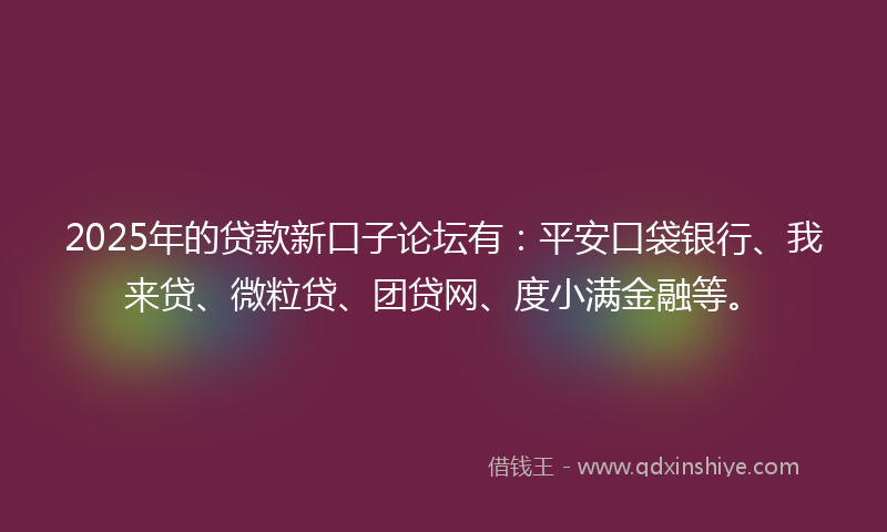 2025年的贷款新口子论坛有：平安口袋银行、我来贷、微粒贷、团贷网、度小满金融等。