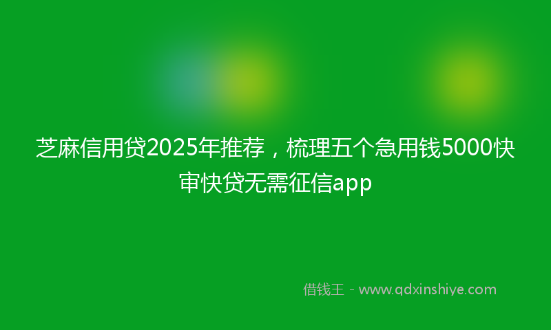 芝麻信用贷2025年推荐，梳理五个急用钱5000快审快贷无需征信app
