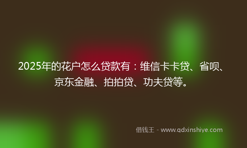 2025年的花户怎么贷款有：维信卡卡贷、省呗、京东金融、拍拍贷、功夫贷等。