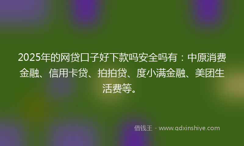 2025年的网贷口子好下款吗安全吗有：中原消费金融、信用卡贷、拍拍贷、度小满金融、美团生活费等。