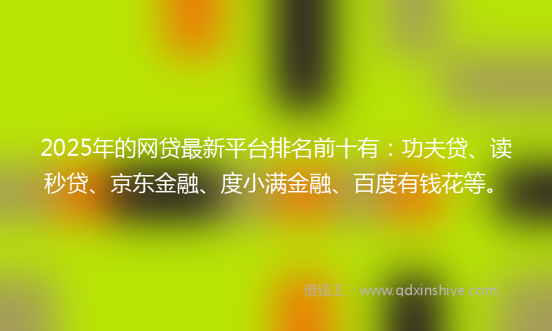 2025年的网贷最新平台排名前十有：功夫贷、读秒贷、京东金融、度小满金融、百度有钱花等。
