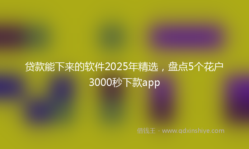 贷款能下来的软件2025年精选，盘点5个花户3000秒下款app