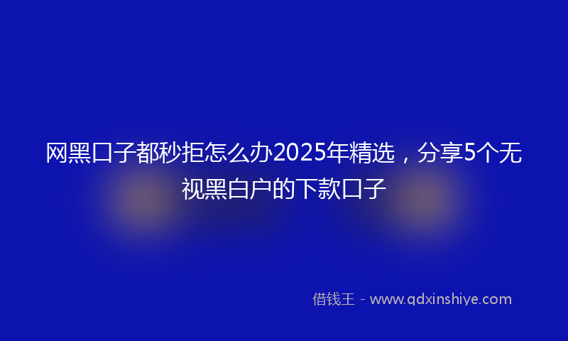 网黑口子都秒拒怎么办2025年精选，分享5个无视黑白户的下款口子