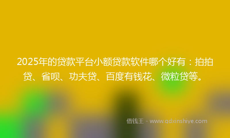 2025年的贷款平台小额贷款软件哪个好有：拍拍贷、省呗、功夫贷、百度有钱花、微粒贷等。