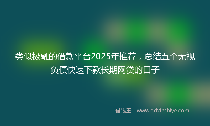 类似极融的借款平台2025年推荐，总结五个无视负债快速下款长期网贷的口子