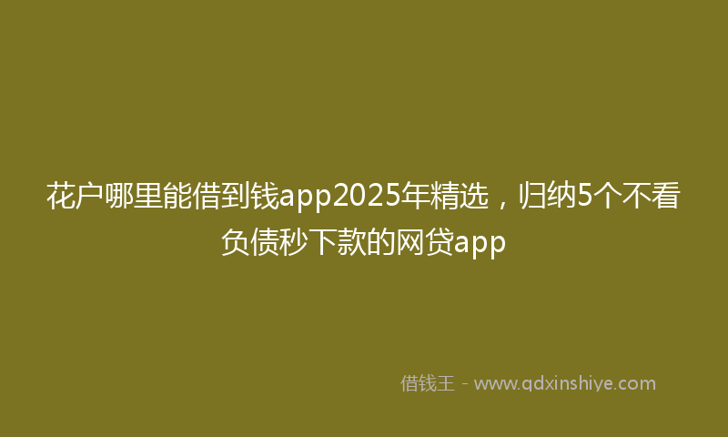 花户哪里能借到钱app2025年精选，归纳5个不看负债秒下款的网贷app