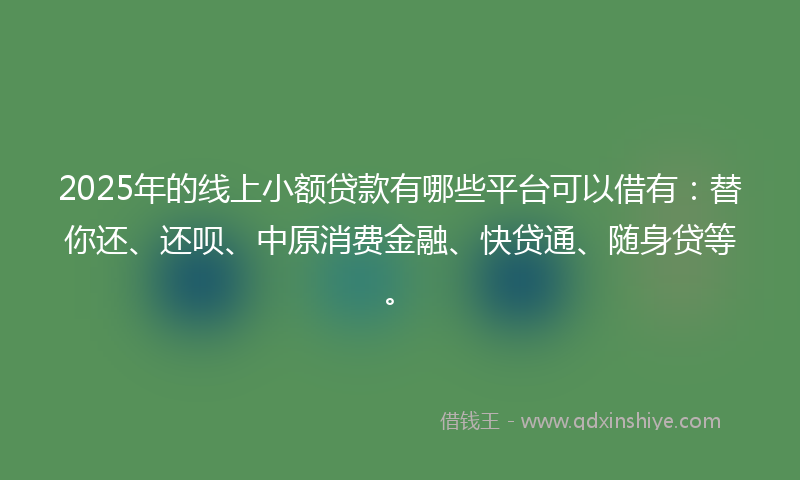 2025年的线上小额贷款有哪些平台可以借有：替你还、还呗、中原消费金融、快贷通、随身贷等。