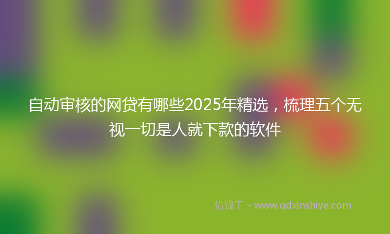 自动审核的网贷有哪些2025年精选，梳理五个无视一切是人就下款的软件