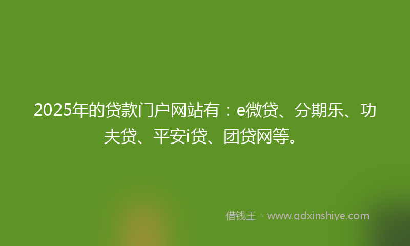 2025年的贷款门户网站有：e微贷、分期乐、功夫贷、平安i贷、团贷网等。
