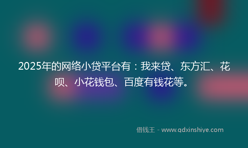 2025年的网络小贷平台有：我来贷、东方汇、花呗、小花钱包、百度有钱花等。