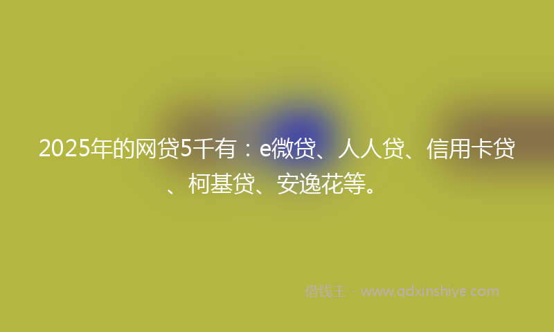 2025年的网贷5千有：e微贷、人人贷、信用卡贷、柯基贷、安逸花等。