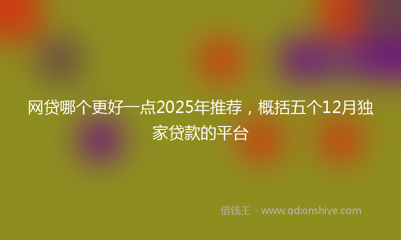 网贷哪个更好一点2025年推荐，概括五个12月独家贷款的平台
