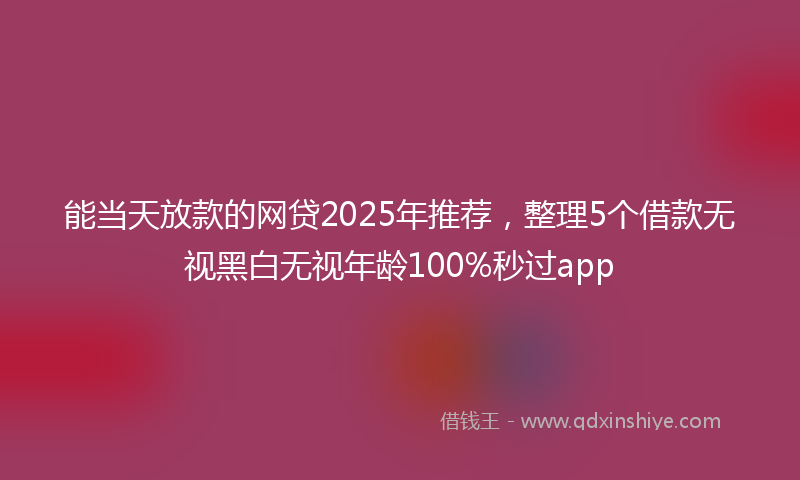 能当天放款的网贷2025年推荐，整理5个借款无视黑白无视年龄100%秒过app
