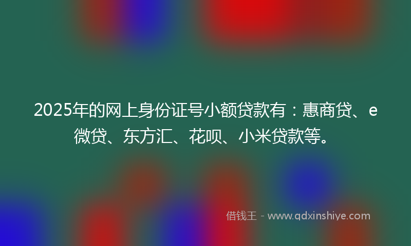 2025年的网上身份证号小额贷款有：惠商贷、e微贷、东方汇、花呗、小米贷款等。