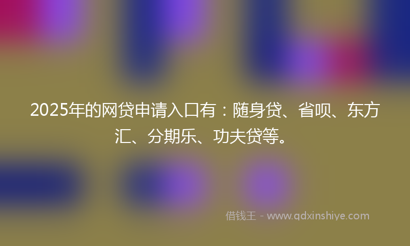2025年的网贷申请入口有：随身贷、省呗、东方汇、分期乐、功夫贷等。