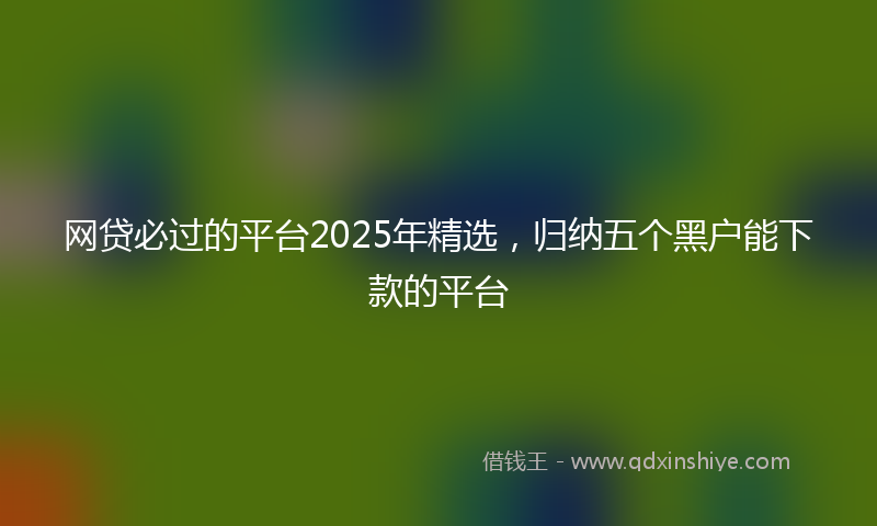 网贷必过的平台2025年精选，归纳五个黑户能下款的平台