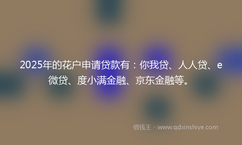 2025年的花户申请贷款有：你我贷、人人贷、e微贷、度小满金融、京东金融等。