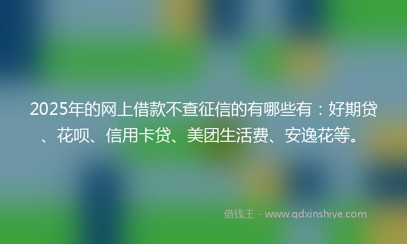 2025年的网上借款不查征信的有哪些有：好期贷、花呗、信用卡贷、美团生活费、安逸花等。
