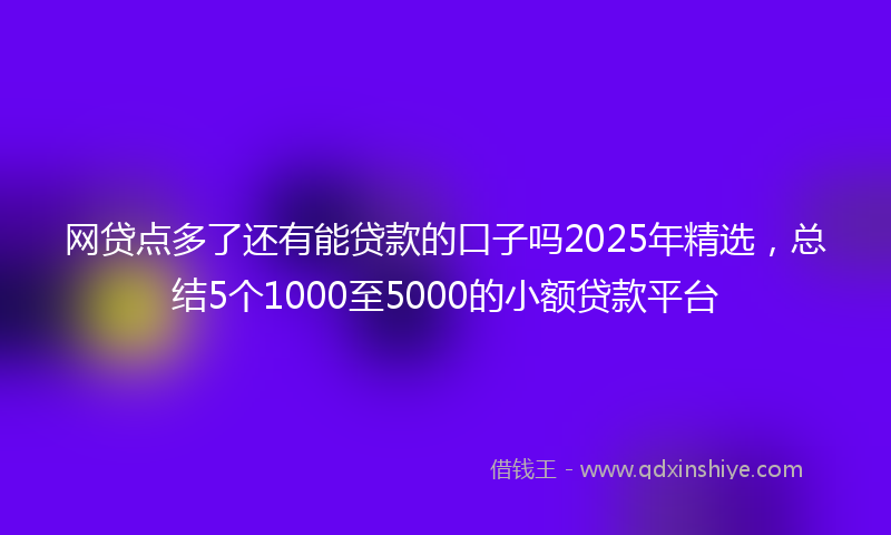网贷点多了还有能贷款的口子吗2025年精选，总结5个1000至5000的小额贷款平台
