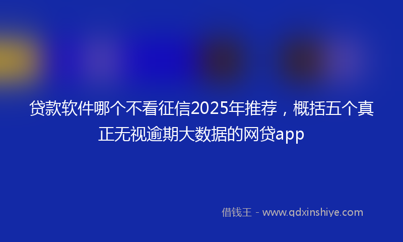 贷款软件哪个不看征信2025年推荐，概括五个真正无视逾期大数据的网贷app