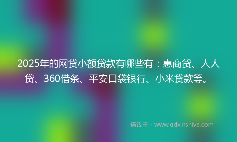 2025年的网贷小额贷款有哪些有：惠商贷、人人贷、360借条、平安口袋银行、小米贷款等。
