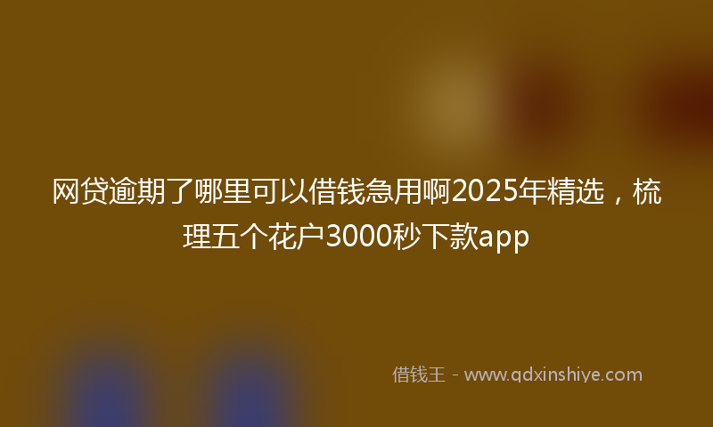 网贷逾期了哪里可以借钱急用啊2025年精选，梳理五个花户3000秒下款app