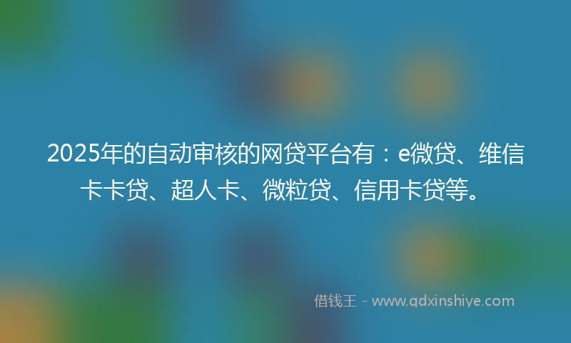 2025年的自动审核的网贷平台有：e微贷、维信卡卡贷、超人卡、微粒贷、信用卡贷等。