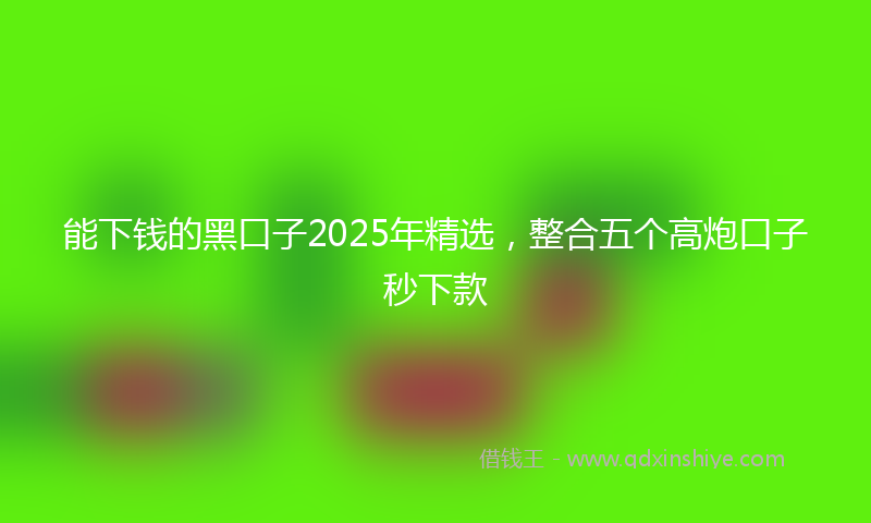 能下钱的黑口子2025年精选，整合五个高炮口子秒下款