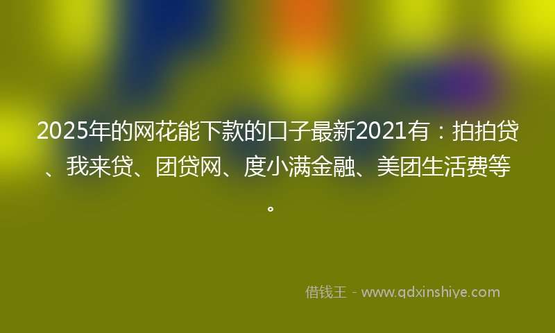 2025年的网花能下款的口子最新2021有：拍拍贷、我来贷、团贷网、度小满金融、美团生活费等。