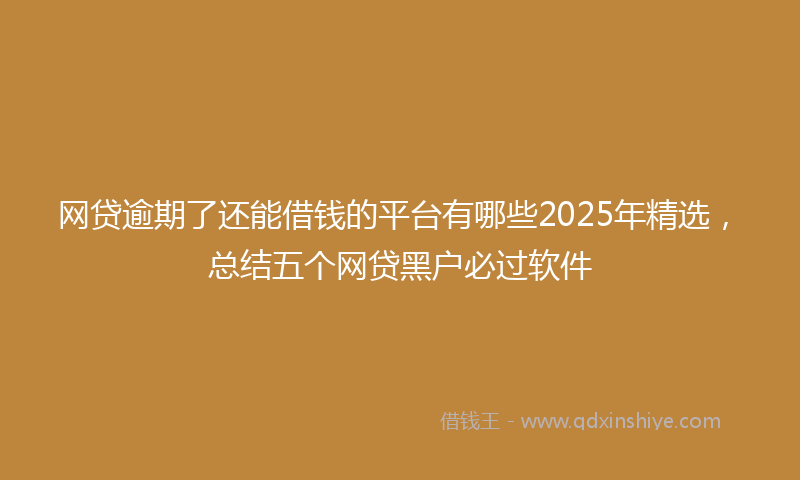 网贷逾期了还能借钱的平台有哪些2025年精选，总结五个网贷黑户必过软件