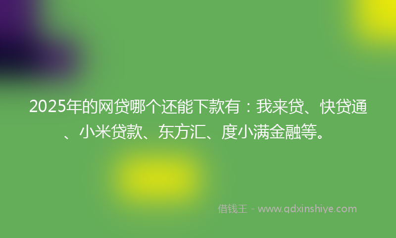 2025年的网贷哪个还能下款有：我来贷、快贷通、小米贷款、东方汇、度小满金融等。
