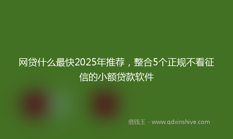 网贷什么最快2025年推荐，整合5个正规不看征信的小额贷款软件