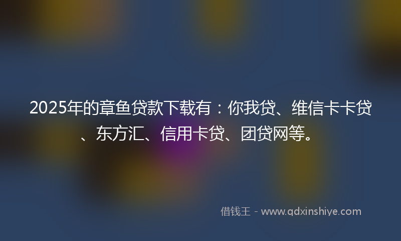 2025年的章鱼贷款下载有：你我贷、维信卡卡贷、东方汇、信用卡贷、团贷网等。
