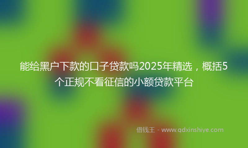 能给黑户下款的口子贷款吗2025年精选，概括5个正规不看征信的小额贷款平台