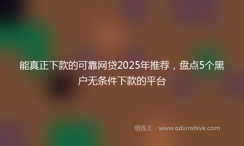 能真正下款的可靠网贷2025年推荐，盘点5个黑户无条件下款的平台